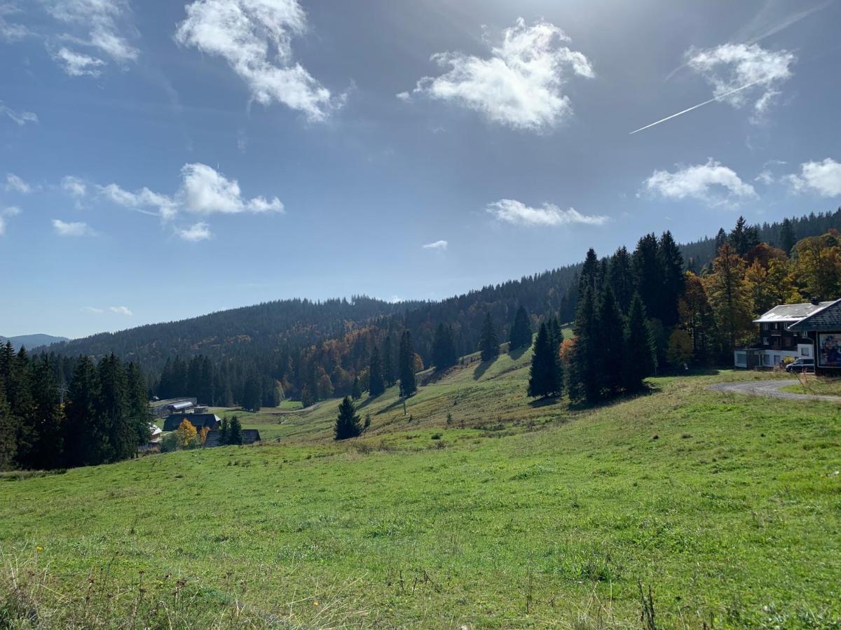 Ferienwohnung Feldberg Schwarzwald المظهر الخارجي الصورة