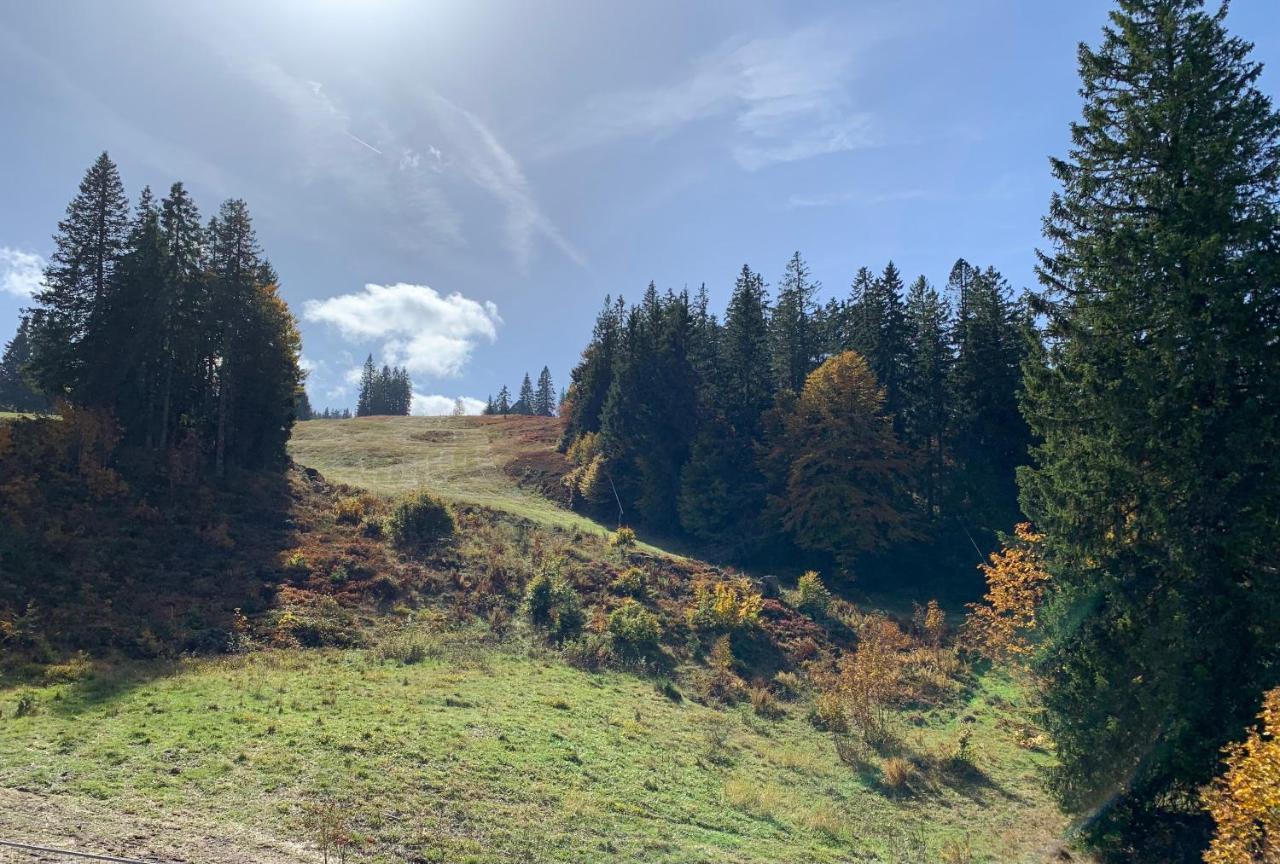 Ferienwohnung Feldberg Schwarzwald المظهر الخارجي الصورة