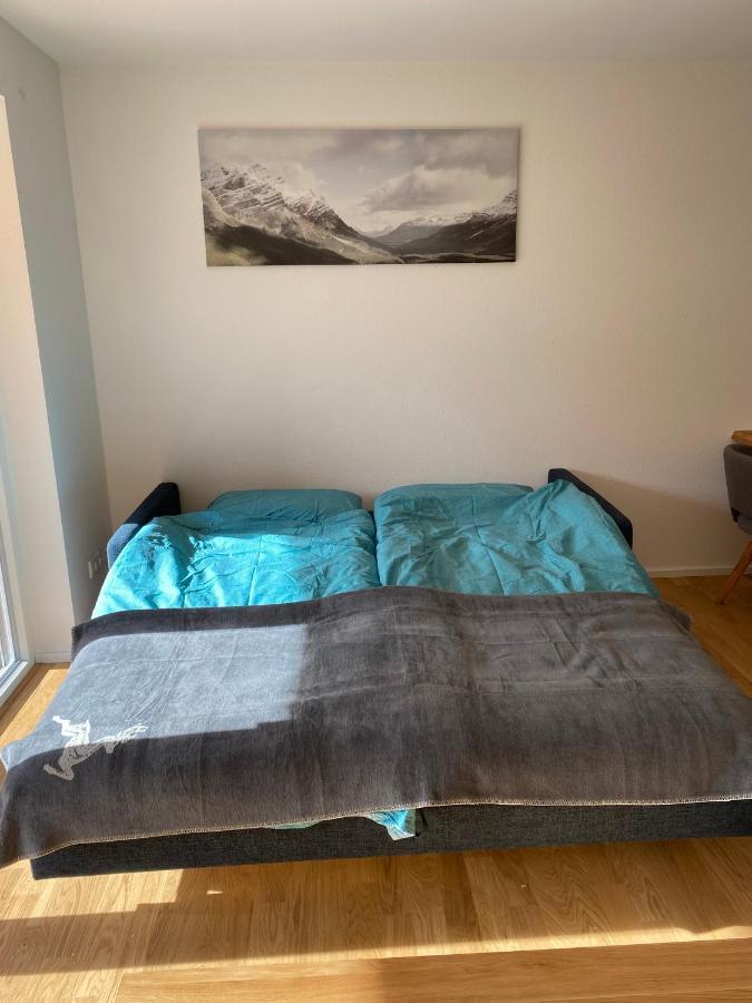 Ferienwohnung Feldberg Schwarzwald المظهر الخارجي الصورة