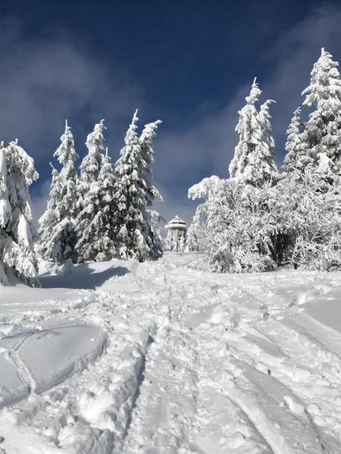 Ferienwohnung Feldberg Schwarzwald المظهر الخارجي الصورة