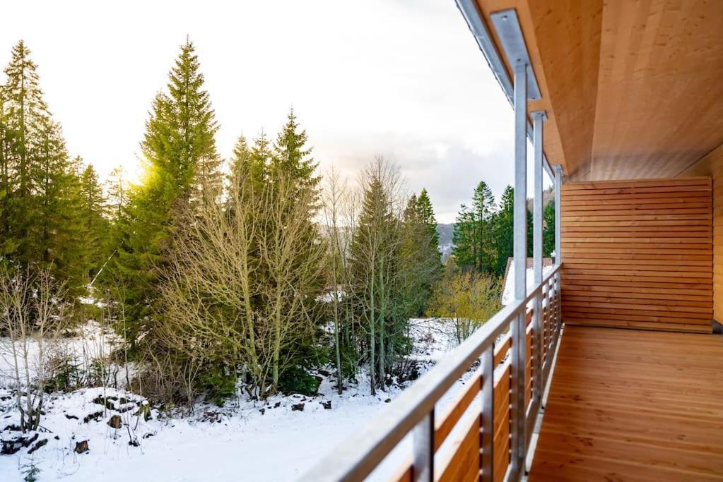 Ferienwohnung Feldberg Schwarzwald المظهر الخارجي الصورة