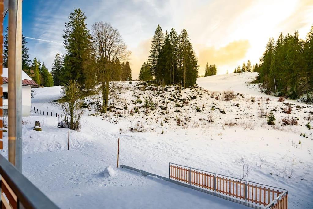 Ferienwohnung Feldberg Schwarzwald المظهر الخارجي الصورة